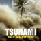 Tsunami Race Against Time