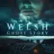 Welsh Ghost Story fragman izle