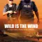 Vahşi Rüzgar fragman izle