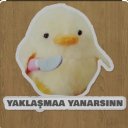 PikachuPilavi adlı kullanıcı