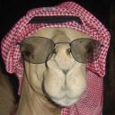 KingOfcameL adlı kullanıcı