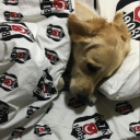 Leomando adlı kullanıcı