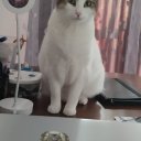 ALASSEA adlı kullanıcı