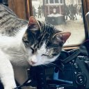 Filmin_fotosu adlı kullanıcı