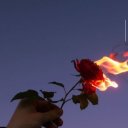 nova_01 adlı kullanıcı