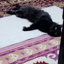 Deryammm adlı kullanıcı