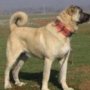 ax1z adlı kullanıcı