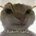 veysocum adlı kullanıcı