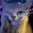 glorialgame adlı kullanıcı