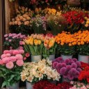 Flowerrrr adlı kullanıcı